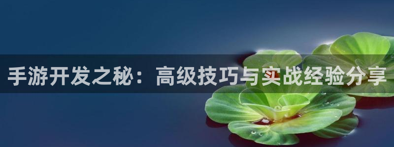 巅峰国际登录：手游开发之秘：高级技巧与实战经验分享
