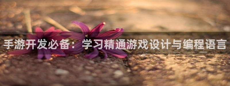 巅峰国际注册：手游开发必备：学习精通游戏设计与编程语言