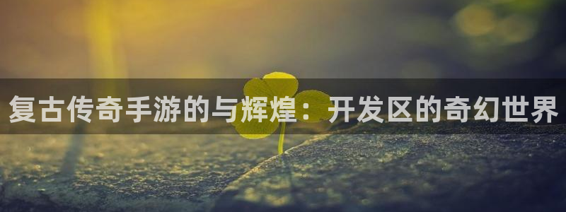巅峰国际：复古传奇手游的与辉煌：开发区的奇幻世界