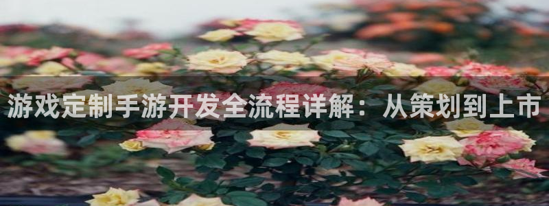 巅峰国际下载：游戏定制手游开发全流程详解：从策划到上市