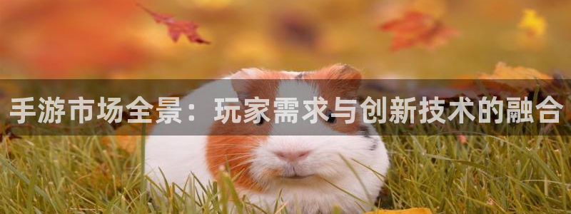 巅峰国际官网：手游市场全景：玩家需求与创新技术的融合