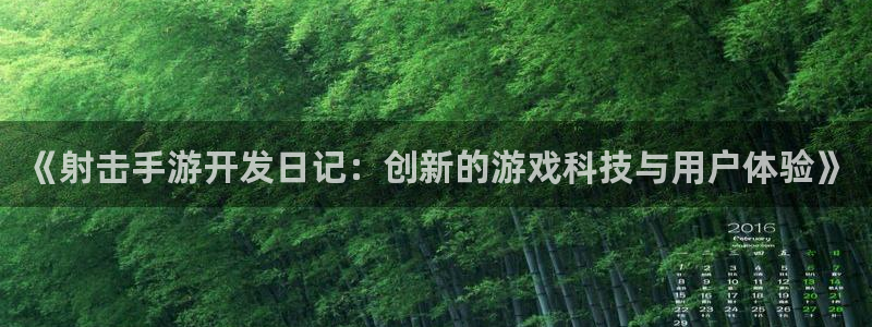 巅峰国际平台：《射击手游开发日记：创新的游戏科技与用户体验》