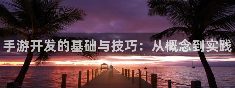 巅峰国际：手游开发的基础与技巧：从概念到实践