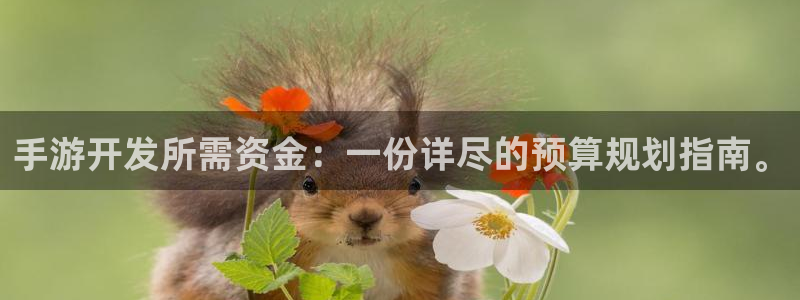 巅峰国际app：手游开发所需资金：一份详尽的预算规划指南。