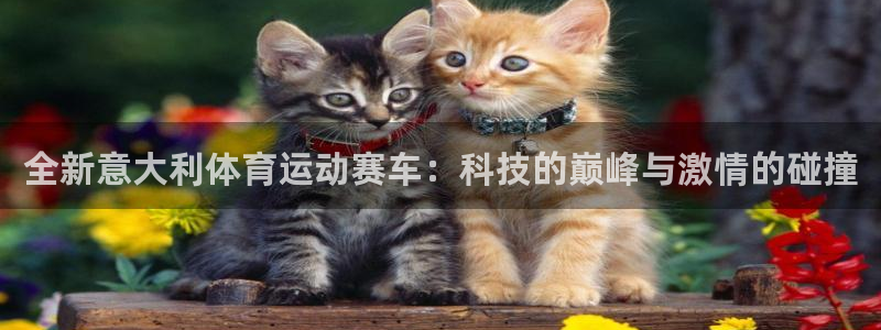 3377体育是正规平台吗：全新意大利体育运动赛车：科技的巅峰与激情的碰撞