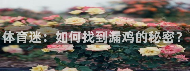3377体育是正规平台吗：体育迷：如何找到漏鸡的秘密？