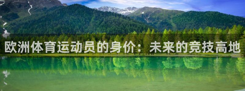 3377体育平台：欧洲体育运动员的身价：未来的竞技高地