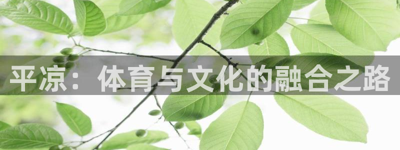 3377体育app官网下载地址：平凉：体育与文化的融合之路
