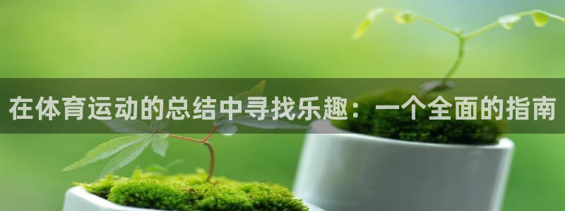 3377体育官网入口下载最新：在体育运动的总结中寻找乐趣：一个全面的指南